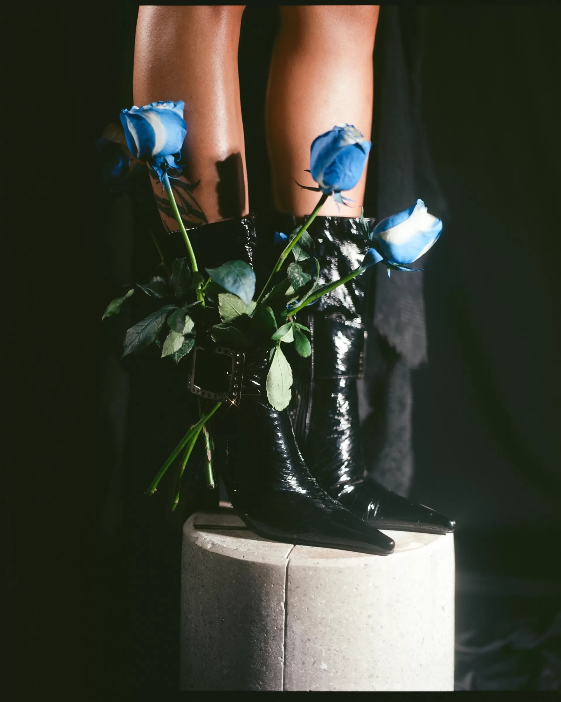 SUBMISSION BEAUTY (DIGITAL)