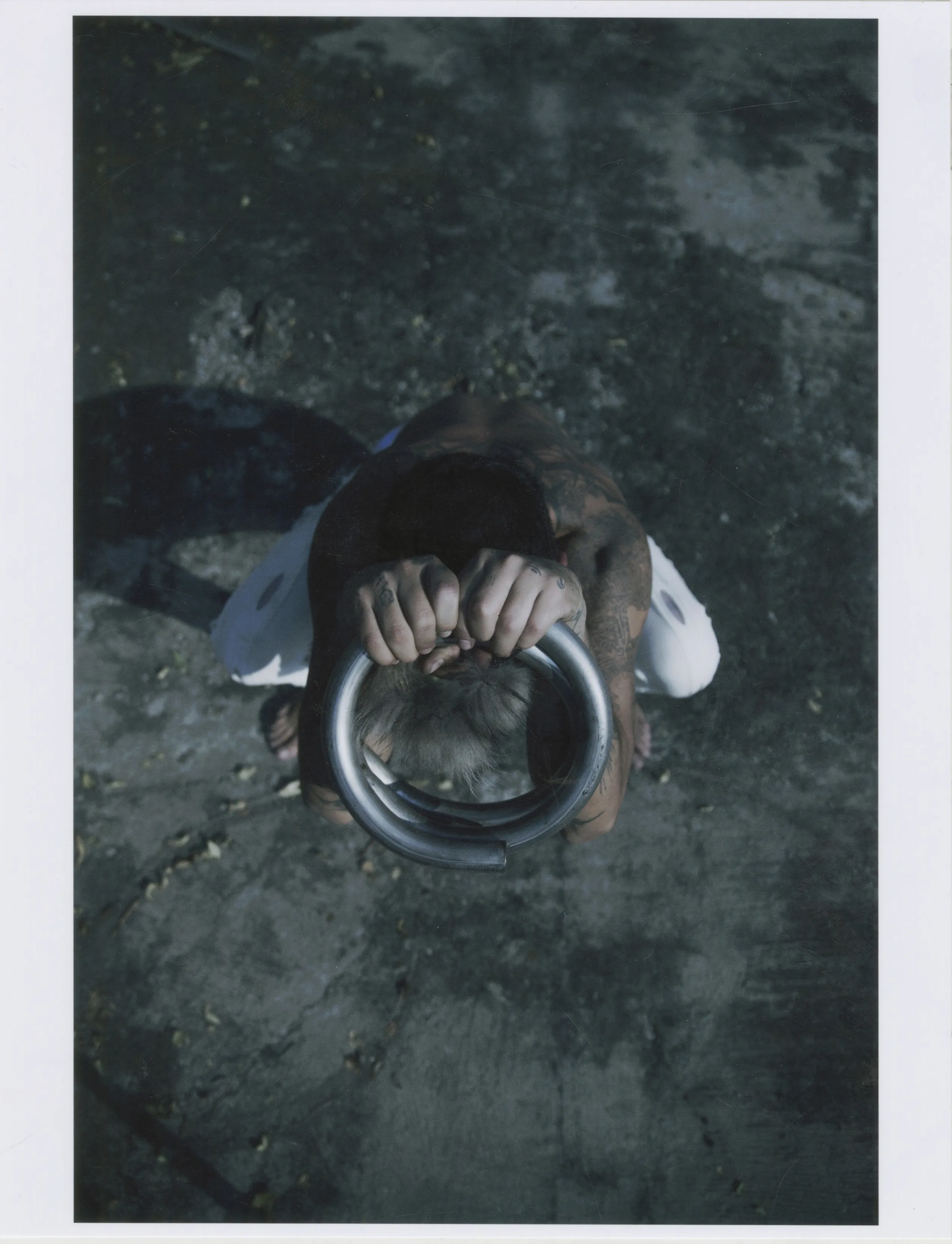 TCP S/S 26 CAMPAIGN