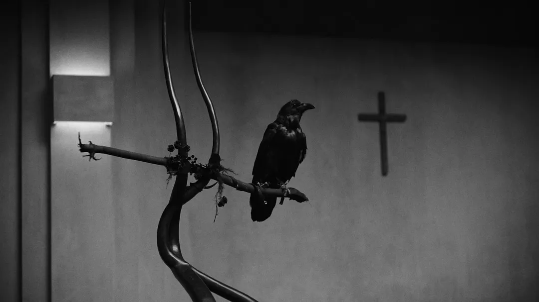 TITO DOUBLE P - CRIPTONITA (MUSIC VIDEO)